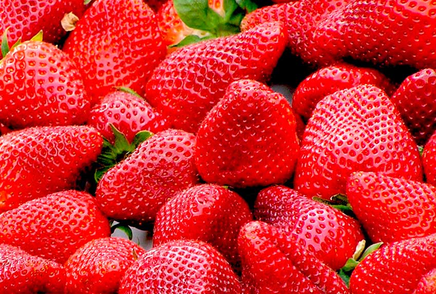 Ab 12.05. frische Erdbeeren in der Kogge!