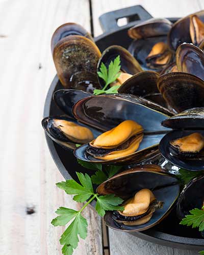 Kogge Elsfleth Miesmuscheln