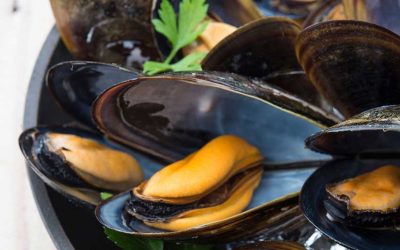 NEUE SAISONALE KARTE